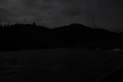 DSC_0217 (Large).JPG